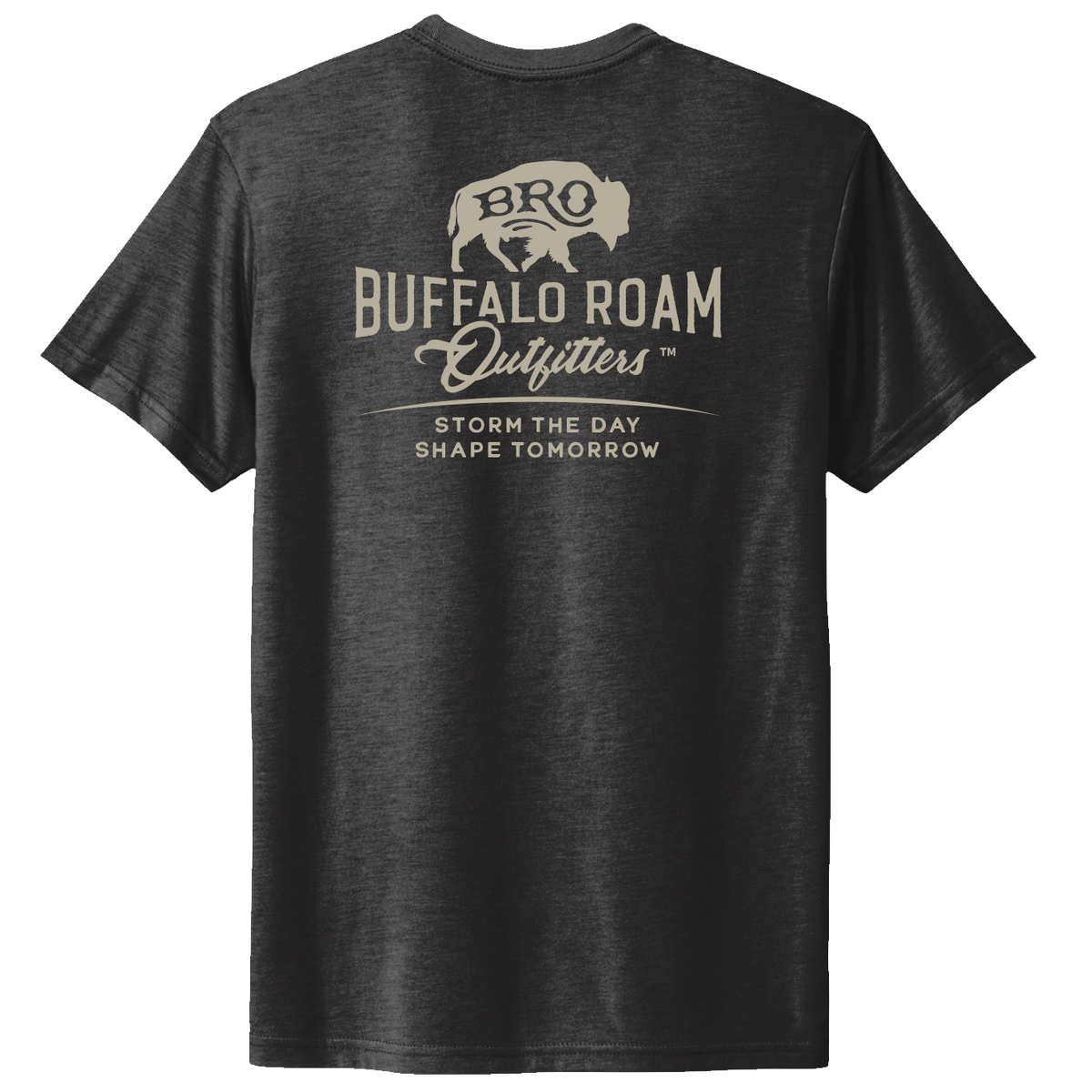 BRO Logo Short Sleeve Tee in Black, back graphic