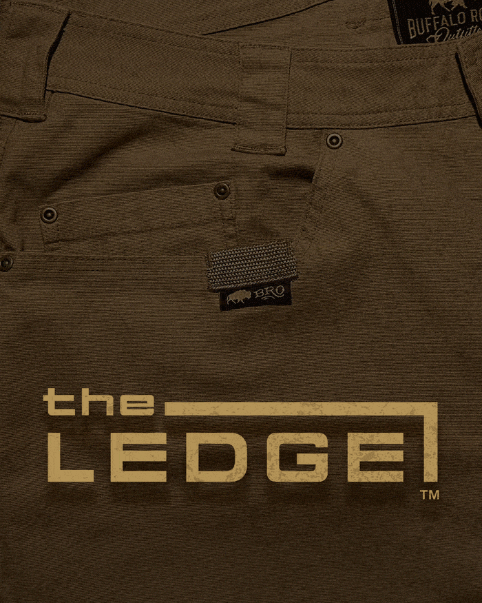The Ledge™